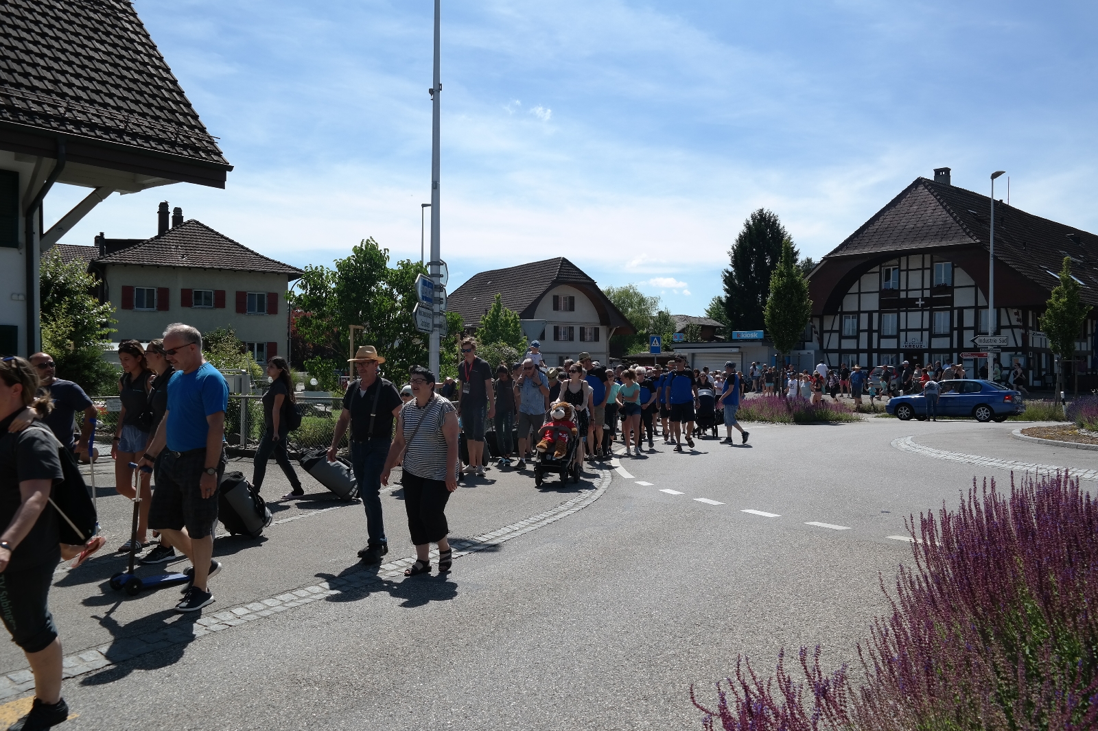 Bild1 (294)
